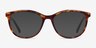 Glam Tortoise Acetate-metalEyeglass Frames from EyeBuyDirect, with Tinted Lenses