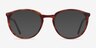 Mindful Tortoise AcetateEyeglass Frames from EyeBuyDirect, with Tinted Lenses