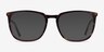 Domenico Tortoise  Gold AcetateEyeglass Frames from EyeBuyDirect, with Tinted Lenses