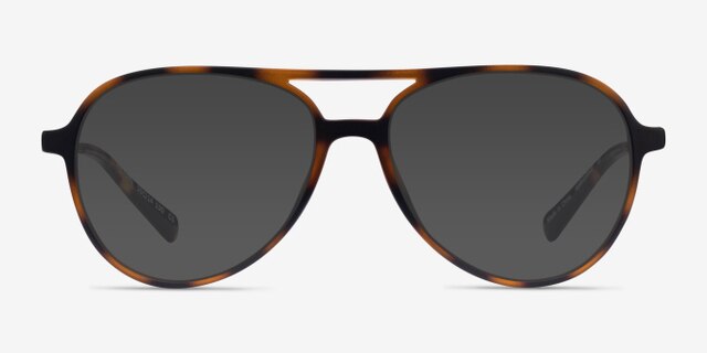 Picture Matte Tortoise   Silver Plastic-metalEyeglass Frames from EyeBuyDirect, with Tinted Lenses