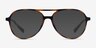 Picture Matte Tortoise   Silver Plastic-metalEyeglass Frames from EyeBuyDirect, with Tinted Lenses