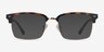 Renaissance Matte Tortoise & Gold MetalEyeglass Frames from EyeBuyDirect, with Tinted Lenses