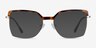 Further Tortoise & Gold Acetate-metalEyeglass Frames from EyeBuyDirect, with Tinted Lenses