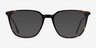 Souvenir Tortoise AcetateEyeglass Frames from EyeBuyDirect, with Tinted Lenses