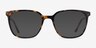 Confident Tortoise Silver AcetateEyeglass Frames from EyeBuyDirect, with Tinted Lenses