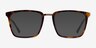 Metaphor Tortoise AcetateEyeglass Frames from EyeBuyDirect, with Tinted Lenses