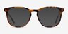 Astute Tortoise AcetateEyeglass Frames from EyeBuyDirect, with Tinted Lenses