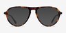 Stratosphere Tortoise Gunmetal AcetateEyeglass Frames from EyeBuyDirect, with Tinted Lenses