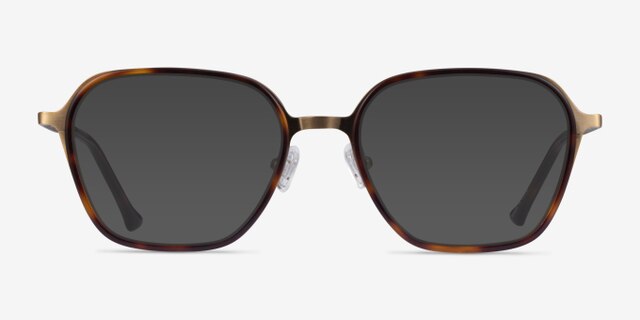 Atami Tortoise Matte Gold AcetateEyeglass Frames from EyeBuyDirect, with Tinted Lenses