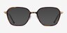 Atami Tortoise Matte Gold AcetateEyeglass Frames from EyeBuyDirect, with Tinted Lenses