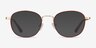 Kogarashi Brown Gold AcetateEyeglass Frames from EyeBuyDirect, with Tinted Lenses