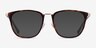 Utamaro Tortoise Gold AcétateMontures de lunettes de vue d'EyeBuyDirect, Avec des Verres Teintés