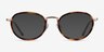 Myoko Tortoise Gold AcétateMontures de lunettes de vue d'EyeBuyDirect, Avec des Verres Teintés