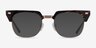 Nichibotsu Tortoise Gold AcetateEyeglass Frames from EyeBuyDirect, with Tinted Lenses