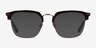 Concerto Tortoise Gold AcetateEyeglass Frames from EyeBuyDirect, with Tinted Lenses