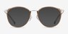 Light Clear Brown Silver AcetateEyeglass Frames from EyeBuyDirect, with Tinted Lenses