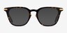 Hayes Tortoise Gold AcetateEyeglass Frames from EyeBuyDirect, with Tinted Lenses