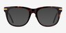 Jefferson Tortoise Gold AcetateEyeglass Frames from EyeBuyDirect, with Tinted Lenses