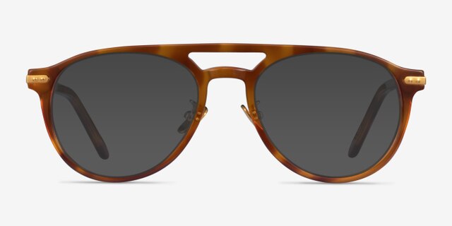 Aston Brown Tortoise Gold AcetateEyeglass Frames from EyeBuyDirect, with Tinted Lenses