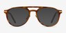 Aston Brown Tortoise Gold AcetateEyeglass Frames from EyeBuyDirect, with Tinted Lenses