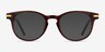 Hathaway Brown &Gold AcetateEyeglass Frames from EyeBuyDirect, with Tinted Lenses