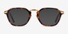 Baxter Tortoise Gold AcetateEyeglass Frames from EyeBuyDirect, with Tinted Lenses