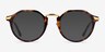 Yates Tortoise Gold AcétateMontures de lunettes de vue d'EyeBuyDirect, Avec des Verres Teintés