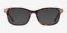 Visio Tortoise AcetateEyeglass Frames from EyeBuyDirect, with Tinted Lenses