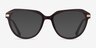 Exec Brown Gold AcetateEyeglass Frames from EyeBuyDirect, with Tinted Lenses