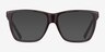 Landmark Brown AcetateEyeglass Frames from EyeBuyDirect, with Tinted Lenses