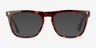 Hugh Tortoise AcetateEyeglass Frames from EyeBuyDirect, with Tinted Lenses