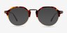 Phineas Tortoise AcetateEyeglass Frames from EyeBuyDirect, with Tinted Lenses