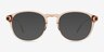 Rise Brown AcetateEyeglass Frames from EyeBuyDirect, with Tinted Lenses