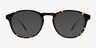 Rise Tortoise AcetateEyeglass Frames from EyeBuyDirect, with Tinted Lenses