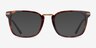 Adzo Tortoise AcetateEyeglass Frames from EyeBuyDirect, with Tinted Lenses