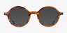 Gregory Striped Tortoise AcetateEyeglass Frames from EyeBuyDirect, with Tinted Lenses