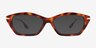 Vise Tortoise Gold AcetateEyeglass Frames from EyeBuyDirect, with Tinted Lenses