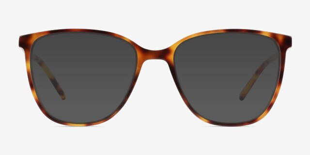 Study Brown Tortoise AcetateEyeglass Frames from EyeBuyDirect, with Tinted Lenses