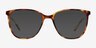 Study Brown Tortoise AcetateEyeglass Frames from EyeBuyDirect, with Tinted Lenses