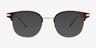 Hollander Gold Tortoise AcetateEyeglass Frames from EyeBuyDirect, with Tinted Lenses