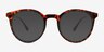 Grin Tortoise Plastic, MetalEyeglass Frames from EyeBuyDirect, with Tinted Lenses