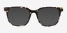 Worthington Tortoise AcetateEyeglass Frames from EyeBuyDirect, with Tinted Lenses