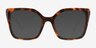 Vanderbuilt Tortoise AcetateEyeglass Frames from EyeBuyDirect, with Tinted Lenses