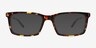 Beaumont Tortoise MetalEyeglass Frames from EyeBuyDirect, with Tinted Lenses