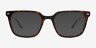 Illuma Tortoise MetalEyeglass Frames from EyeBuyDirect, with Tinted Lenses