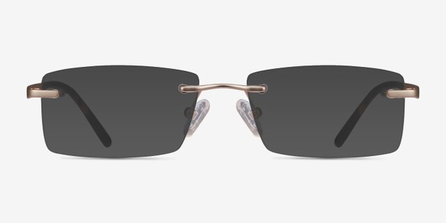 Noble Golden MetalEyeglass Frames from EyeBuyDirect, with Tinted Lenses