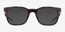 Club Tortoise MetalEyeglass Frames from EyeBuyDirect, with Tinted Lenses
