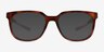 Oxygen Tortoise Eco-friendlyEyeglass Frames from EyeBuyDirect, with Tinted Lenses