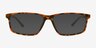 Voss Tortoise Plastic, MetalEyeglass Frames from EyeBuyDirect, with Tinted Lenses