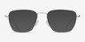 Future Silver TitaniumEyeglass Frames from EyeBuyDirect, with Tinted Lenses